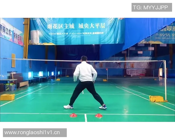 体育竞技新视角：运动与技巧的完美结合